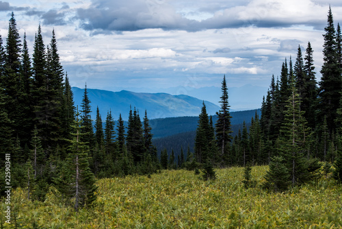 Raven Lake trail, Prince George