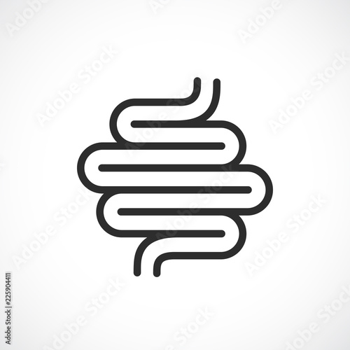 Digestive system vector icon