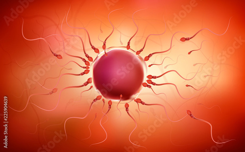 One sperm is human semen. In the white back
