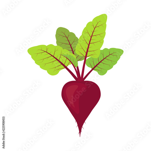 Fresh beet with leaf. vegetarianism