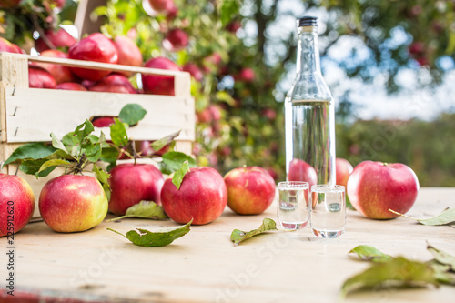 Apple brandy distillate with apples on garden table. photo