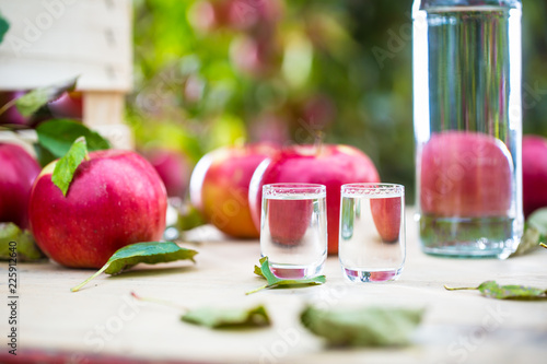 Apple brandy distillate with apples on garden table.