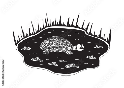 Graphic sea turtle in pond, black ink vector illustration