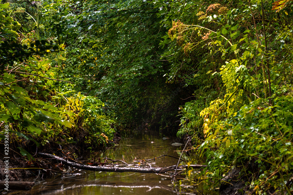 Green Creek Bed