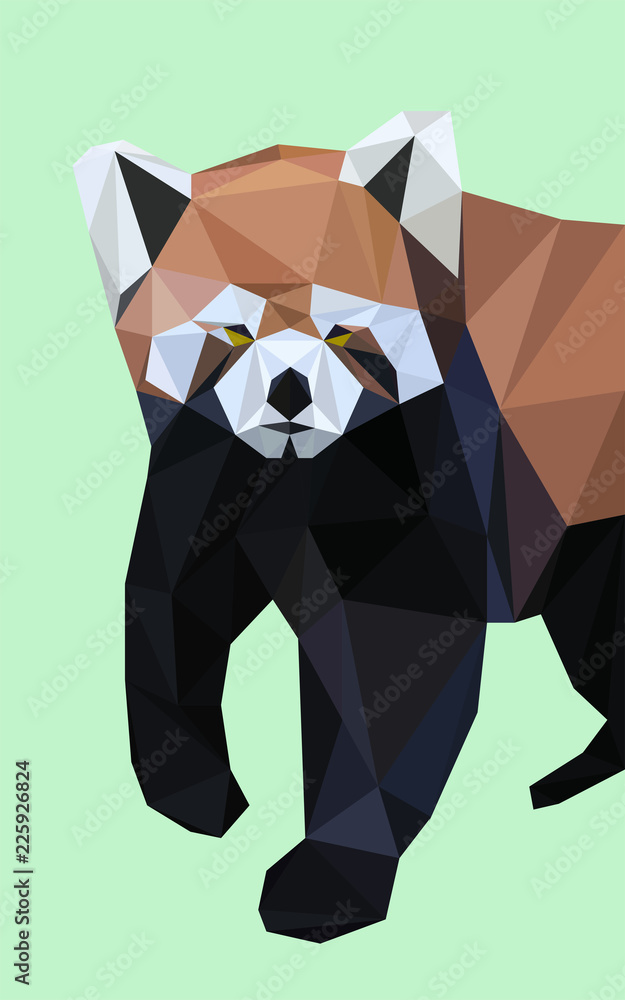 Colorful polygonal style design of wild red panda
