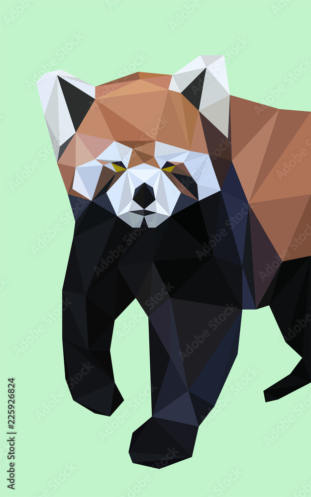 Obraz premium Colorful polygonal style design of wild red panda