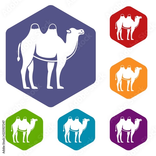 Camel icons set hexagon isolated vector illustration