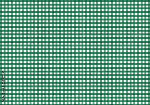 Green Gingham seamless pattern.Vector