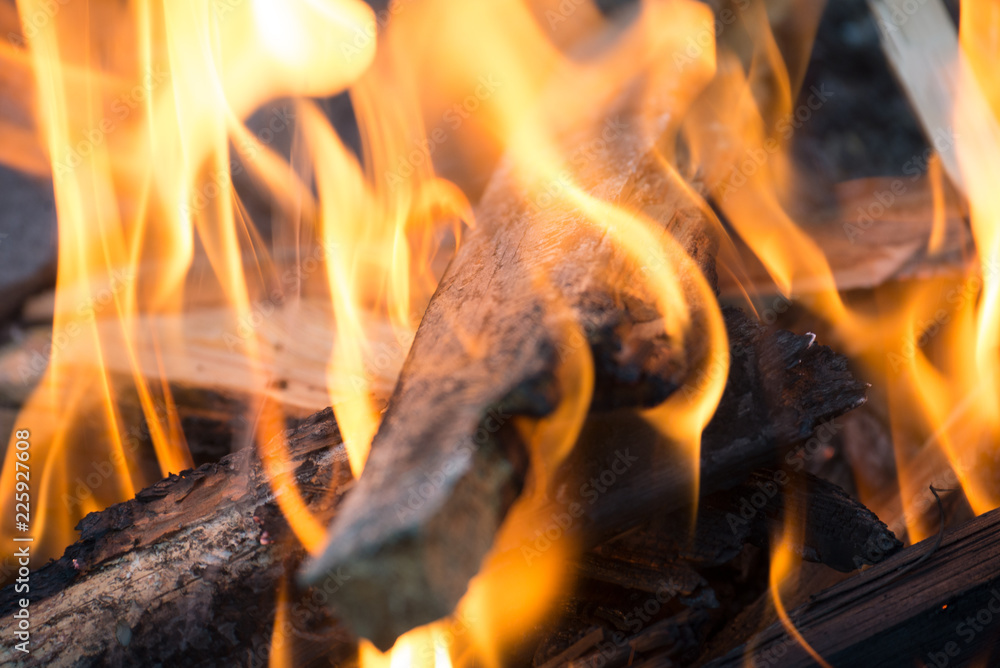 Fototapeta premium Camp Fire in a Fire Pit