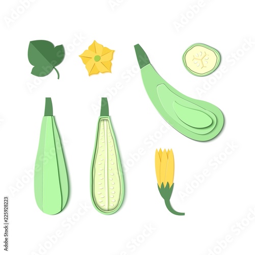 Set of paper cut zucchini. Origami squash whole, a piece, slice. Collection of vegetable marrow leaf and flower. Vector card illustration. Harvest courgette organic ingredient in paper art style.