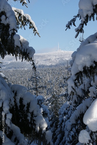 panoramic view over Harz in Germany in cold christas winter while ski forest photo