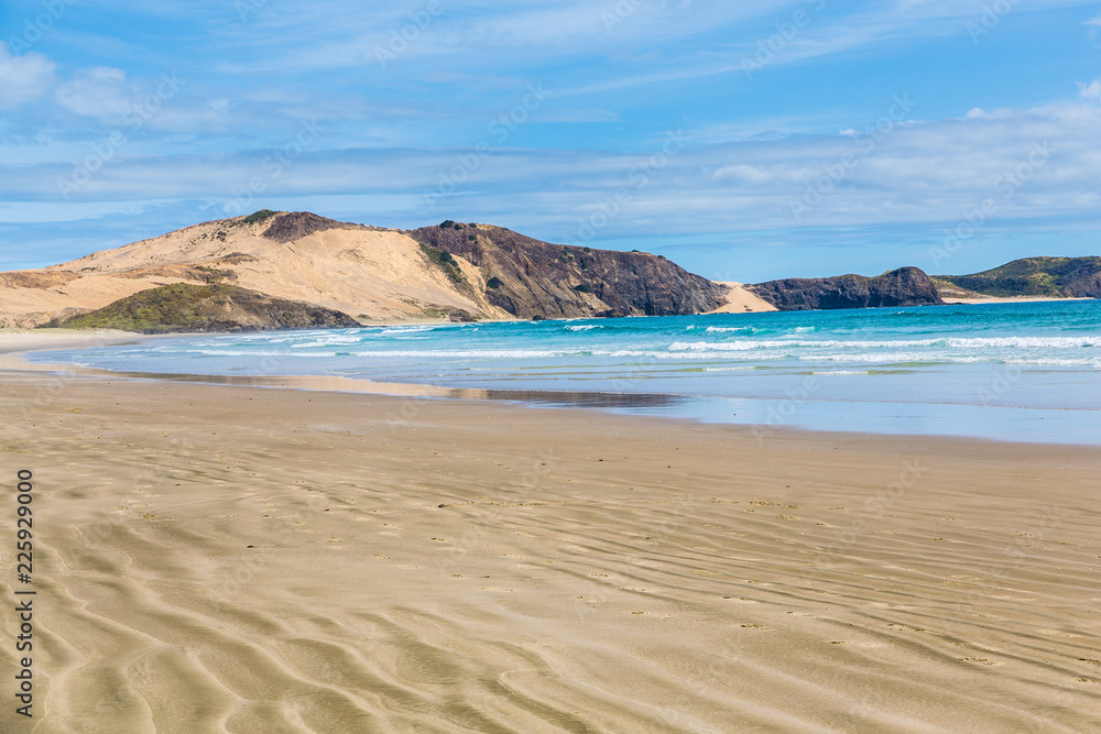 Fototapeta premium New Zealand coastline, northland, North Island