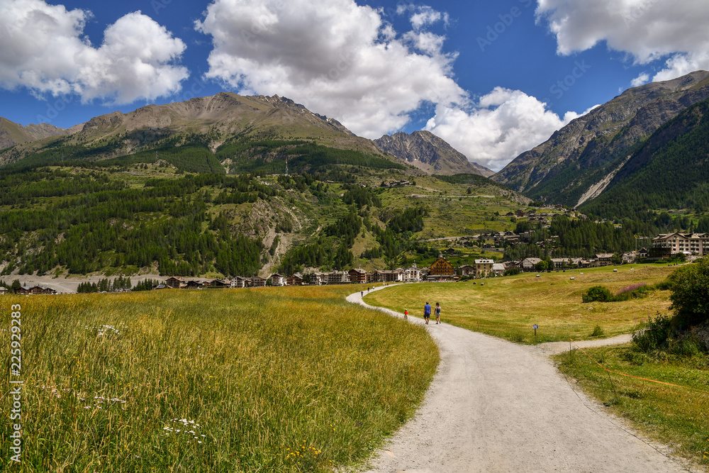 Ταπετσαρία Sentiero tra campi di fieno in estate con montagne sullo sfondo e cielo blu con