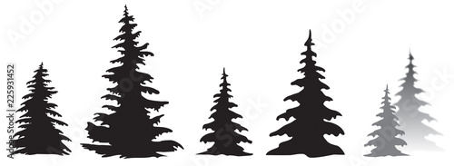 SILHOUETTE SAPIN