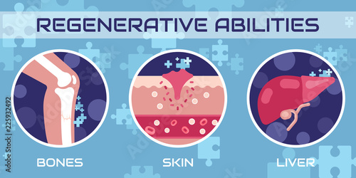 Regenerative Abilities human medicine Illustration vector concept