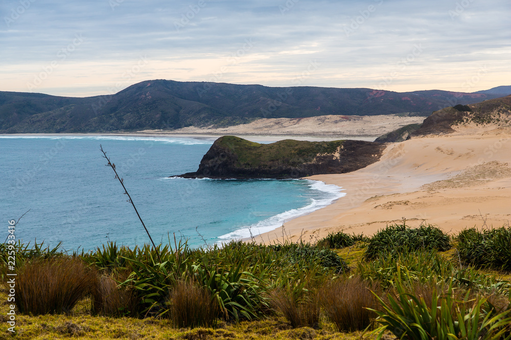 New Zealand coastline, northland, North Island New Zealand coastline, northland, North Island