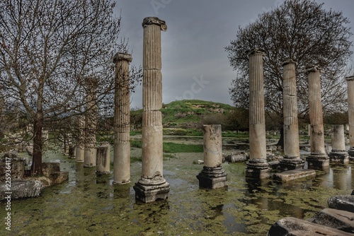 Afrodisias Antik Kenti