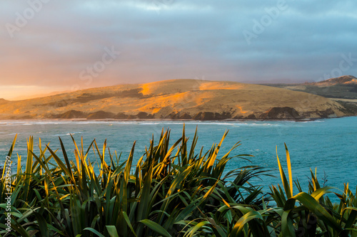 Hokianga Harbour - northland, giant sand dunes