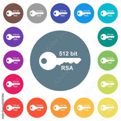 512 bit rsa encryption flat white icons on round color backgrounds