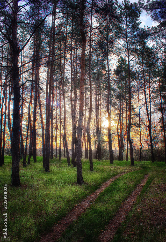 autumn in the forest autumn in the forest
