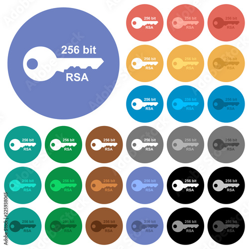 256 bit rsa encryption round flat multi colored icons