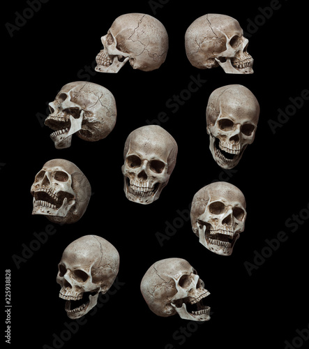 Nine skulls photo