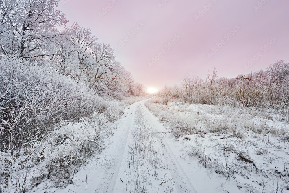 Frozen landscape. A dirt road sinks into the forest. Frozen landscape. A dirt road sinks into the forest.