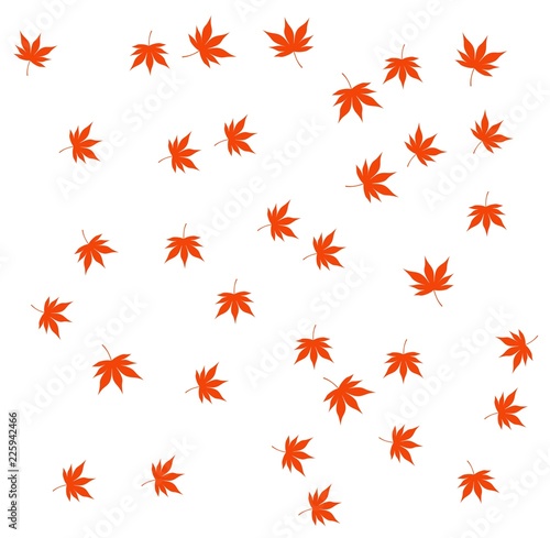 wallpaper of the momiji leaf