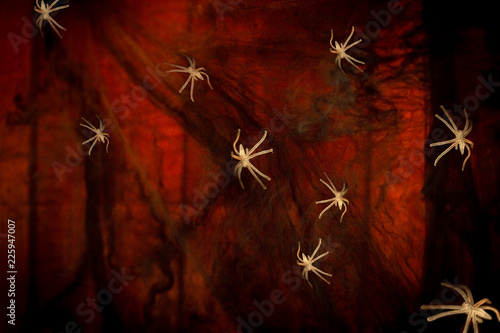 red and black halloween background with translucent spiders and spider web