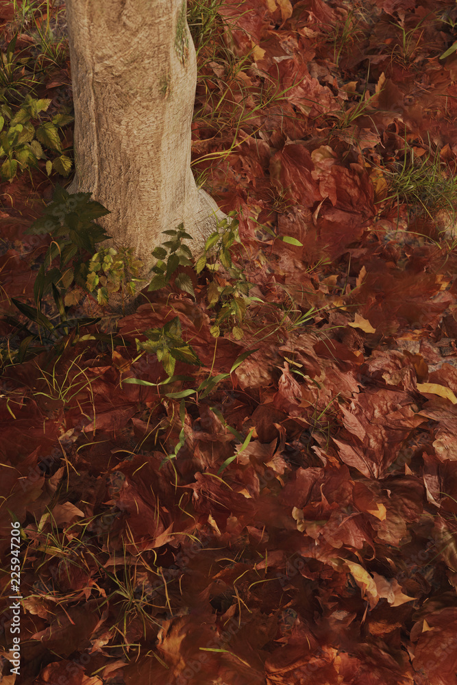 Von oben Ansicht auf Herbstlaub. 3D rendering