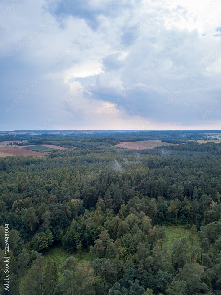 Flight over forest under cloudy sky. Drone photography