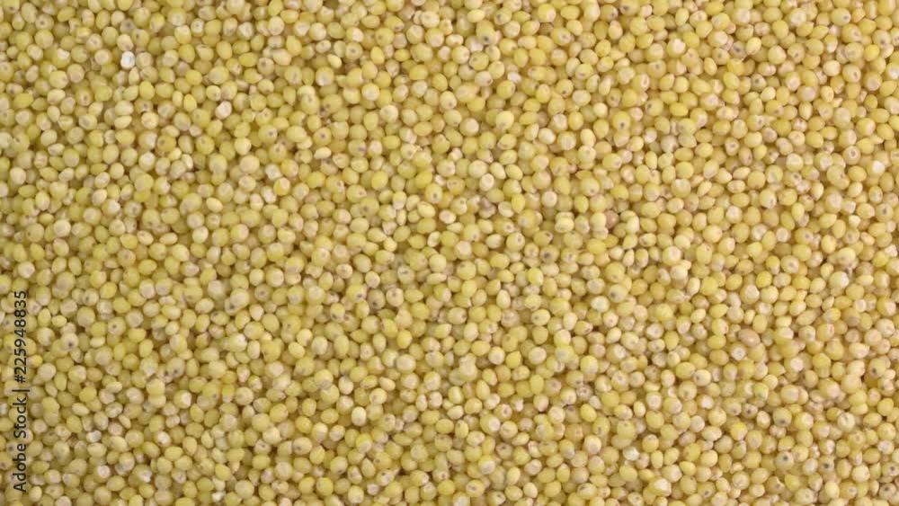 closeup of gluten free millet grain - rotating background, top view closeup of gluten free millet grain - rotating background, top view