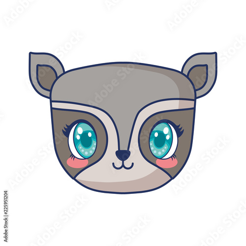 cute raccoon adorable character