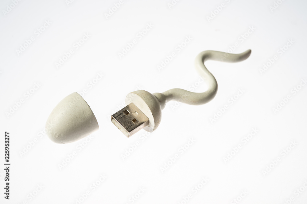 Sperm shape object has USB connector on white background Stock Photo |  Adobe Stock