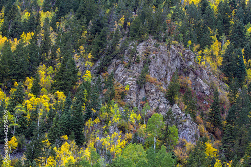 In autumn  Taos Ski Valley in the Carson National Forest of northern New Mexico fills with yellow aspens and other colorful foliage