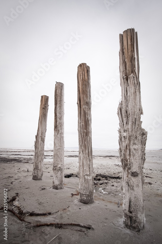 Four wood posts standing in mud of the Great Salt Lake