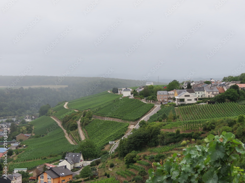 Vineyards and village in Luxembourg Moselle valley