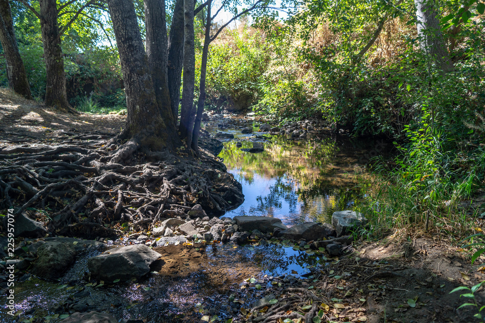 Gilbert Creek in Grant's Pass, Oregon Gilbert Creek in Grant's Pass, Oregon