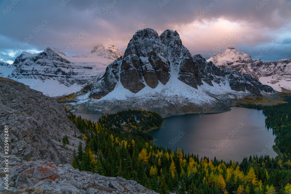 Obraz premium Sunset glows on distant snow covered alpine peaks in Canada during larch season 
