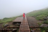 濃霧の山道を歩く登山者