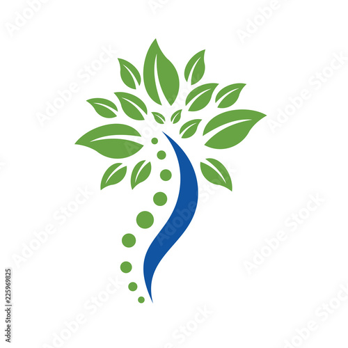 Herbal Medical Chiropractic and spine logo vector