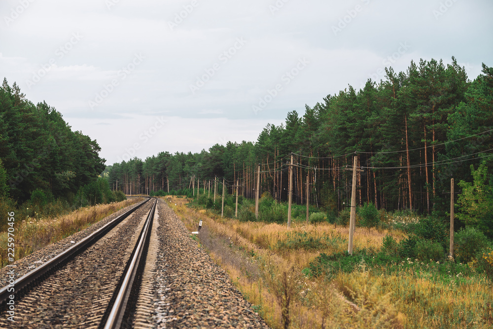 Railway traveling in perspective across forest. Journey on rail track. Poles with wires along rails. Atmospheric landscape with railroad along bushes and trees with copy space. Railway traveling in perspective across forest. Journey on rail track. Poles with wires along rails. Atmospheric landscape with railroad along bushes and trees with copy space.