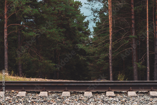 High pines in darkness close up. Background of pine forest boundary. Texture of pinery behind railroad. Coniferous trees. Atmospheric railway landscape. photo