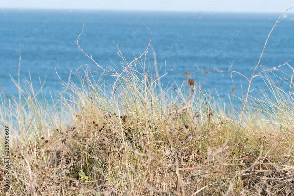 Fototapeta premium Ein Blick auf einen Strand am Meer