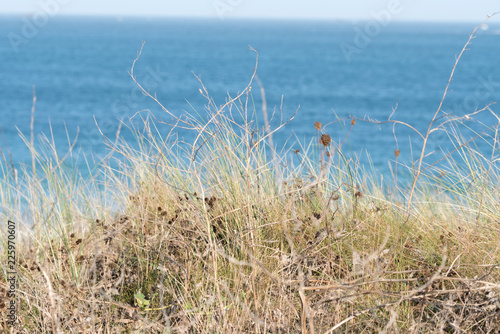 Ein Blick auf einen Strand am Meer