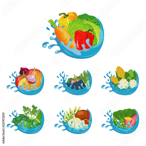 Healthy Natural Vegetables in Fresh Water Splash Illustration