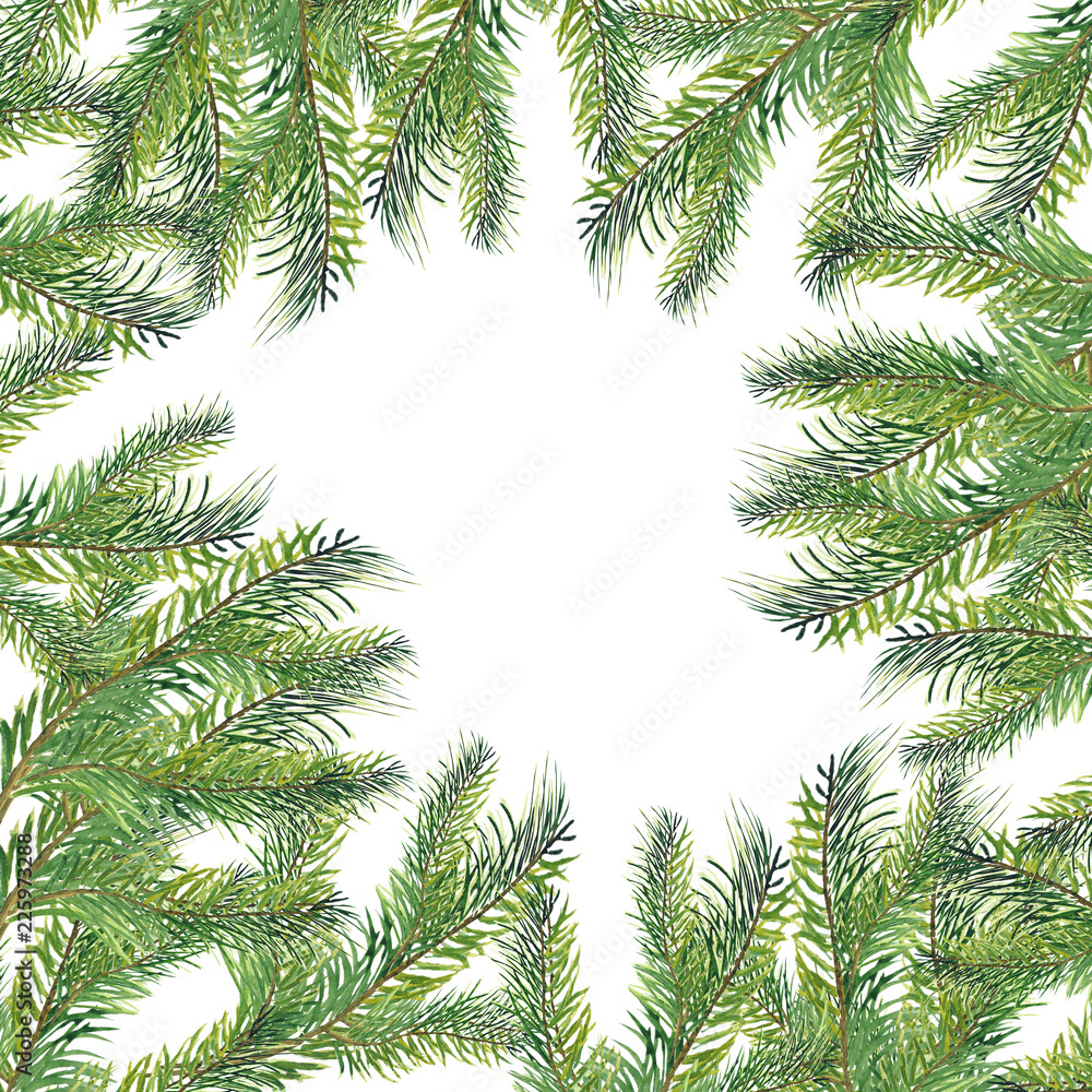 Watercolor composition of fir branches. Watercolor composition of fir branches.