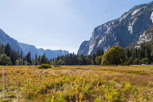 Yosemite Valley  California  USA