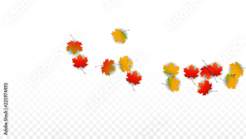 September Vector Background with Golden Falling Leaves. Autumn Illustration with Maple Red, Orange, Yellow Foliage. Isolated Leaf on Transparent Background. Bright Swirl. Suitable for Posters.