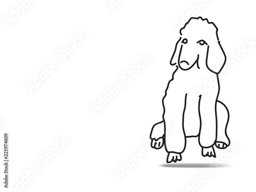 doodle freehand vector illustration of poodle dog